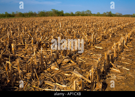 Agriculture - Domaine des chaumes de maïs au printemps après l'hiver neige a fondu / New York, USA. Banque D'Images