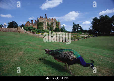 Château et jardins de Chilham, Chilham, Kent, Angleterre Banque D'Images