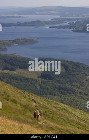 Marchant sur le Ben Lomond Ecosse Banque D'Images