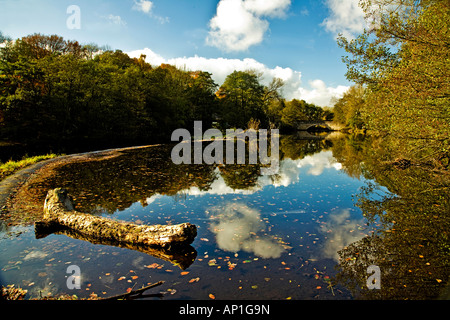 FROGGATT, WEIR ET LE LAC RÉFLÉCHISSANT SUR LA RIVIÈRE DERWENT DERBYSHIRE ROYAUME-UNI Banque D'Images