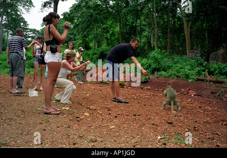 Thaïlande TOURISTES NOURRIR LE SINGE PRÈS DU PONT SUR LA RIVIÈRE KWAI à Kanchanaburi Banque D'Images