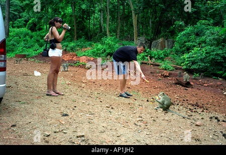 Thaïlande TOURISTES NOURRIR LE SINGE PRÈS DU PONT SUR LA RIVIÈRE KWAI à Kanchanaburi Banque D'Images