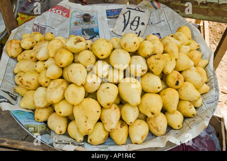 La goyave mûre jaune sont soigneusement disposées pour la vente de fruits sur un marché à Assouan, en Haute Egypte, Moyen-Orient DSC 4285 Banque D'Images