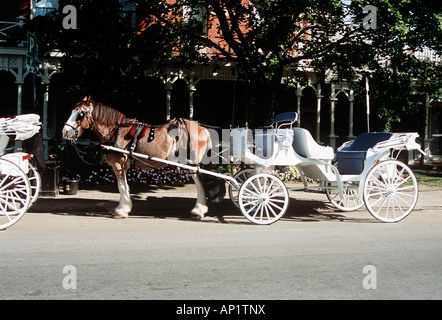 Horse and carriage, Niagara on the Lake, près de Niagara Falls, Ontario, Canada Banque D'Images