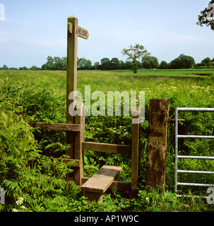 Wilmslow Cheshire chemin à travers champ d'orge Banque D'Images