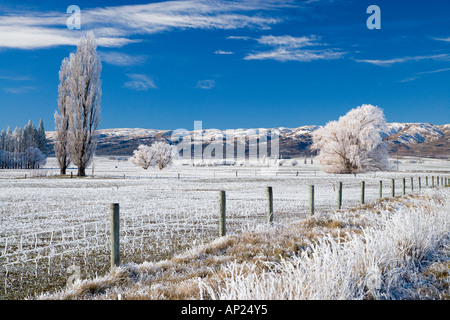 Givre et de terres agricoles près de Poolburn Central Otago ile sud Nouvelle Zelande Banque D'Images