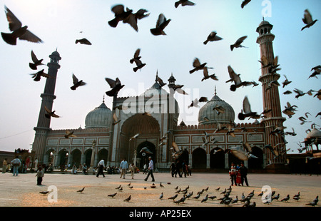 Inde : La Mosquée Jama Masjid à New Delhi, plus grande mosquée de l'Inde Banque D'Images