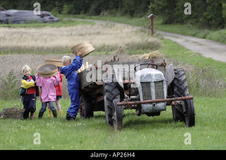 Les cultures de chargement des écoliers dans une remorque à l'arrière d'un tracteur dans le cadre d'une sortie scolaire à la ferme Banque D'Images