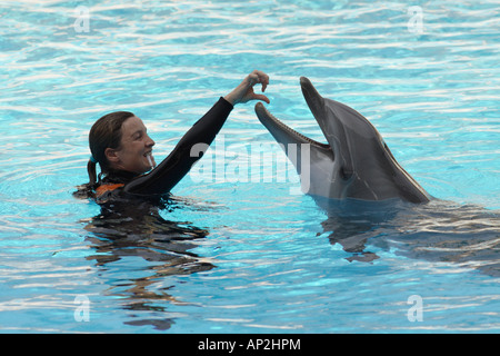 Dolphin trainer dans un spectacle public, parc à thème, de l'Italie. Banque D'Images