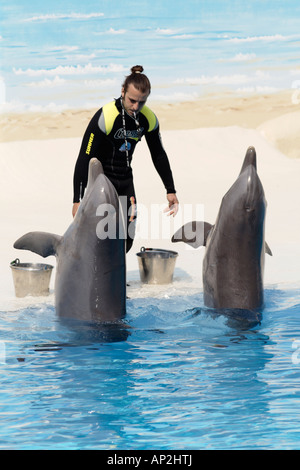 Dolphin trainer dans un spectacle public, parc à thème, de l'Italie. Banque D'Images