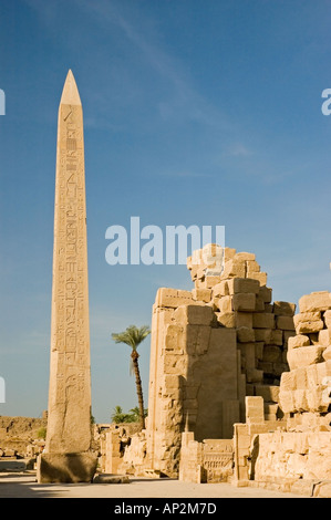 Les obélisques d'Hatshepsout et Tuthmose, complexe du temple de Karnak, Louxor, Egypte, Moyen-Orient. DSC 4414 Banque D'Images