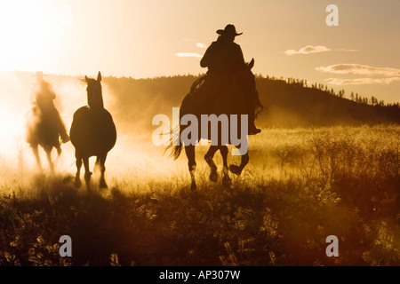 Cowboys à cheval au coucher du soleil, de l'Oregon, USA Banque D'Images