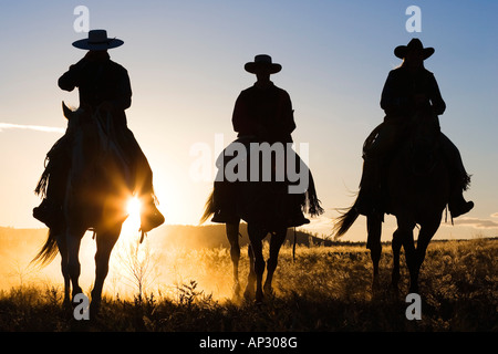 Cowboys à cheval au coucher du soleil, de l'Oregon, USA Banque D'Images