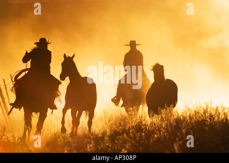 Cowboys à cheval au coucher du soleil, de l'Oregon, USA Banque D'Images