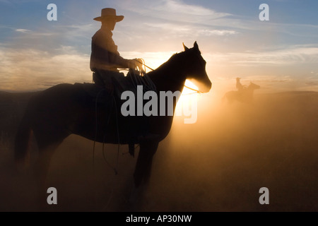 Circonscription de cow-boy au coucher du soleil, de l'Oregon, USA Banque D'Images