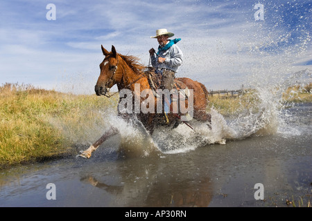 Circonscription de cow-boy dans l'eau, wildwest, Oregon, USA Banque D'Images