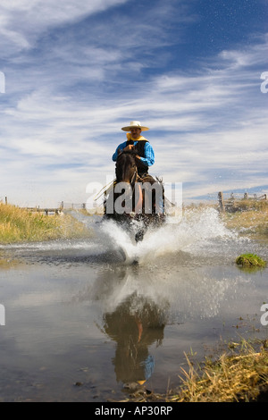 Circonscription de cow-boy dans l'eau, wildwest, Oregon, USA Banque D'Images