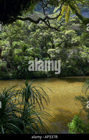 Punakaiki Punakaiki River, au nord du Parc National d'Hokitika, Westcoast, île du Sud, Nouvelle-Zélande Banque D'Images