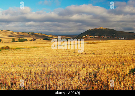 Champs de chaume avec village en arrière-plan, Ibrillos, près de Belorado, Castilla Leon, Espagne Banque D'Images