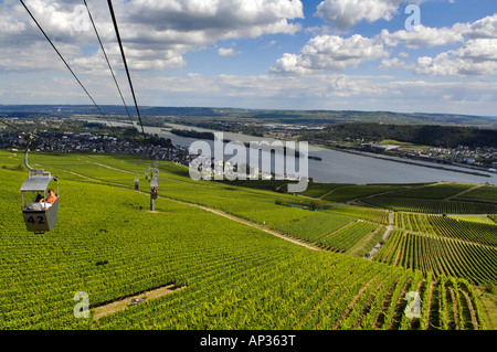 Cable car sur les vignobles, Ruedesheim am Rhein, Rheingau, Hesse, Allemagne Banque D'Images