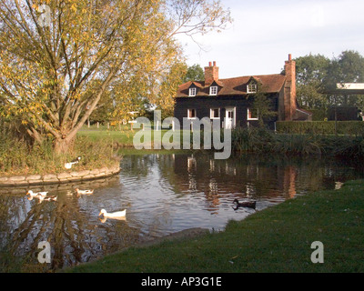 Blackmore Village étang près de Chelmsford Essex avec cottage noir et blanc en arrière-plan Banque D'Images