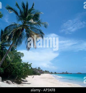 Johnson's Point Beach, Côte Sud, Antigua, Antilles, Caraïbes Banque D'Images