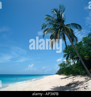 Johnson's Point Beach, Côte Sud, Antigua, Antilles, Caraïbes Banque D'Images