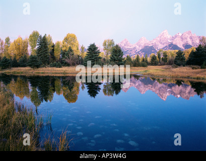 Le Grand Teton se reflétant dans un étang de castors Banque D'Images