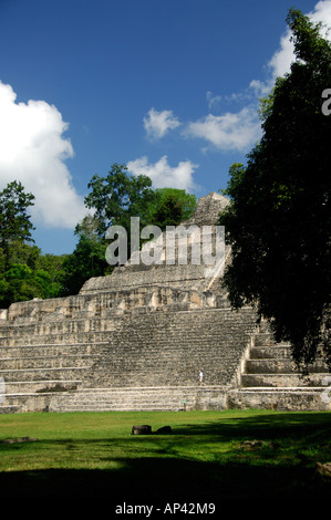 L'Amérique centrale, le Belize, la réserve forestière Chiquibul, Caracol. Ruines de la civilisation maya de la période classique. Banque D'Images