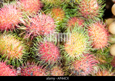 Ramboutans, en vente sur un étal de marché à Kuala Lumpur, Malaisie. Banque D'Images