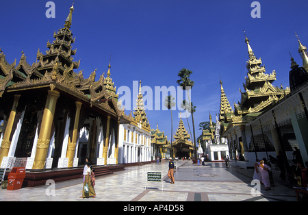 La Division de Yangon Birmanie Myanmar Yangon pagode Shwe Dagon Banque D'Images