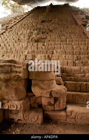 L'Amérique centrale, le Honduras, Copan. L'impressionnant escalier hiéroglyphique a 63 étapes avec plus de 2 500 pierres de glyphes. Banque D'Images