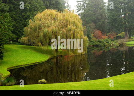 jardin avec étang. Banque D'Images