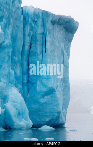 Dans l'Arctique iceberg Banque D'Images