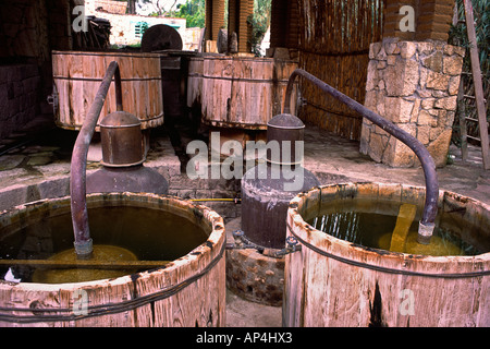 Mexique, Oaxaca, Matatlan. Los Danzantes distillerie de Mezcal à Santiago Matatlan, connue comme la capitale mondiale du mezcal. Banque D'Images