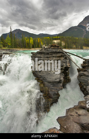 Athabasca Falls dans un canyon profond dans le nord du Canada Banque D'Images