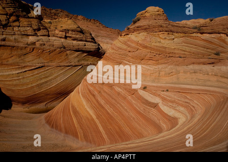 La vague une extraordinaire zone de rochers de grès érodé sinueux bagués dans le Paria Vermillion Cliffs National Monument Arizona Banque D'Images
