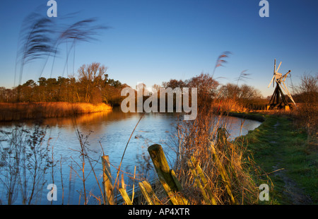 La rivière à Ant Comment Hill dans les Norfolk Broads montrant l'usine Clayrack Banque D'Images