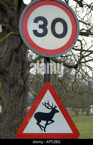 La signalisation routière indiquant une limite de vitesse de 30 mi/h et d'avertissement de cerfs dans teddington, Bushy Park, près de Londres, Angleterre Banque D'Images