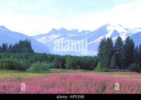 Amérique du Nord, USA, Alaska, Juneau Banque D'Images