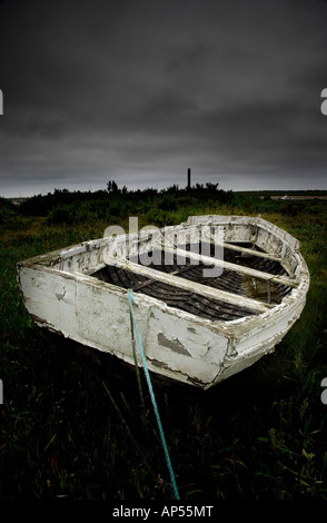 Vieux bateau à rames dans un marais Banque D'Images