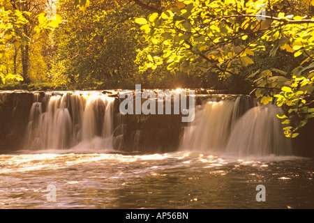 La Linn Linn Park Glasgow Banque D'Images