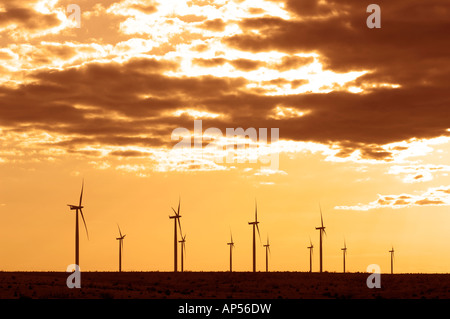 Éoliennes sur le Texas d'éoliennes au coucher du soleil. Banque D'Images