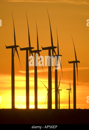 Éoliennes sur le Texas d'éoliennes au coucher du soleil. Banque D'Images