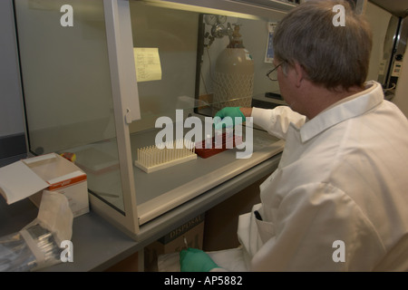 Travailler avec l'essai d'un toxicologue de l'échantillon de sang d'éventuelles traces de poison Nebraska State Patrol Crime Lab Banque D'Images