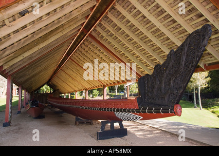 Whare Waka canoe Maison avec plus grand canot de guerre Maori Ngatokimatawhaorua à Waitangi Réserve nationale de la Nouvelle-Zélande Banque D'Images