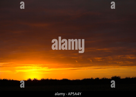 Un coucher de Dorset. Banque D'Images