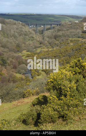 Le formerMeldon viaduc de chemin de fer dans le parc national du Dartmoor Devon, Angleterre maintenant utilisé comme une randonnée à vélo Banque D'Images