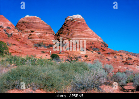 Les randonneurs en route vers la vague près de Landmark Twin Buttes de grès Navajo, Paria Canyon Vermillion Cliffs Wilderness, Wyoming Banque D'Images