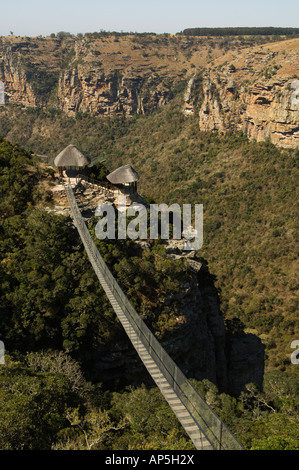 Pont suspendu au-dessus de la rivière Umzimkulwane, Réserve naturelle d'Oribi Gorge, KwaZulu Natal, Afrique du Sud Banque D'Images